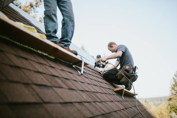 Best Metal Roofing Contractor  in Houston, TX